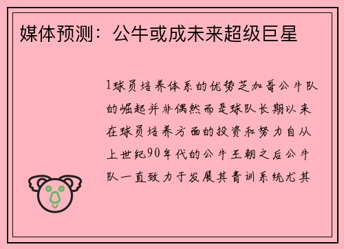 媒体预测：公牛或成未来超级巨星