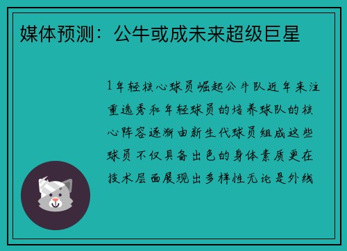 媒体预测：公牛或成未来超级巨星