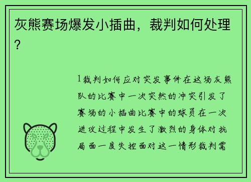 灰熊赛场爆发小插曲，裁判如何处理？